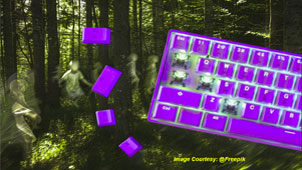 video img