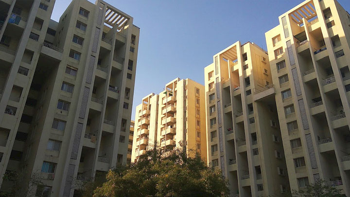 Contesting Fraudulent Gift and Release Deed, Pest Control in Residential Flats