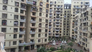When Multiple Societies Share Amenities