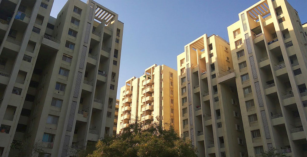 Contesting Fraudulent Gift and Release Deed, Pest Control in Residential Flats