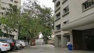 Your Rights on Encroachments, Associate Membership & Stack Parking