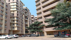 Resolving Parking Woes and Procedural Disputes
