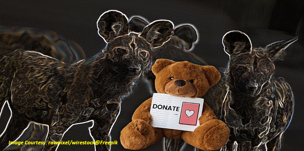 Fraud Alert: Bogus, Fake Donation Scam