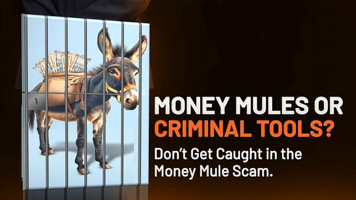 Fraud Alert: Illegal Payment Gateways & 'Mule' Bank Accounts