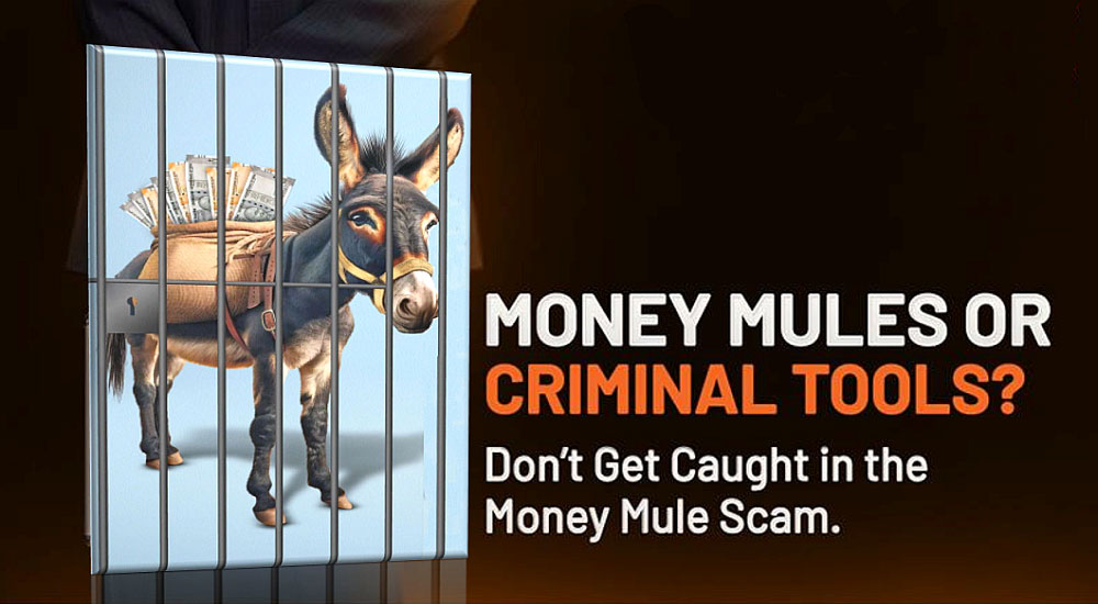 Fraud Alert: Illegal Payment Gateways & 'Mule' Bank Accounts